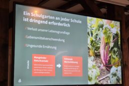 Auszug Präsentation