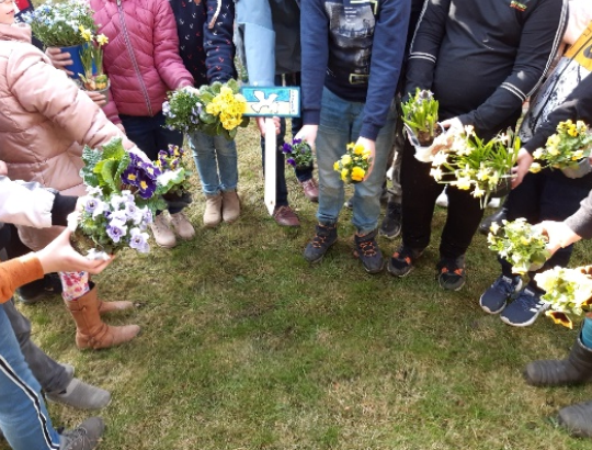 grundschule-sietland-1 grundschule-sietland-1
