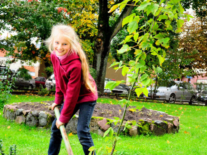 Blondes Mädchen pflanzt einen Baum